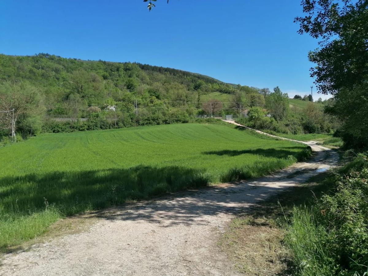 Ferienwohnung Residenza Il Conte Nocera Umbra Exterior foto